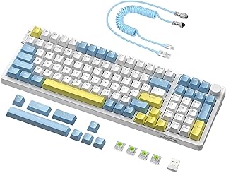 AJAZZ AK992 Wireless Hotswap Gaming Keyboard,Tri-Mode 2.4G/BT5.0/Wired,Custom USB C Coiled Cable,Programmable RGB,GASKET Mount,PBT Keycaps,Volume Knob,4000mAh Battery for PC/Mac/Win/PS4(Blue Switch)