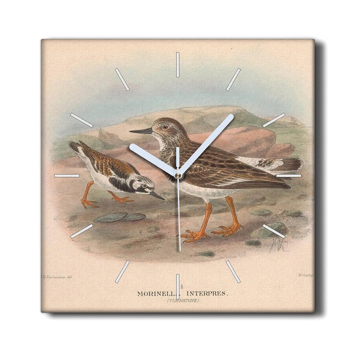 Horloge sur Toile Oiseaux Coloray pour Créer une Ambiance Nature au Salon
