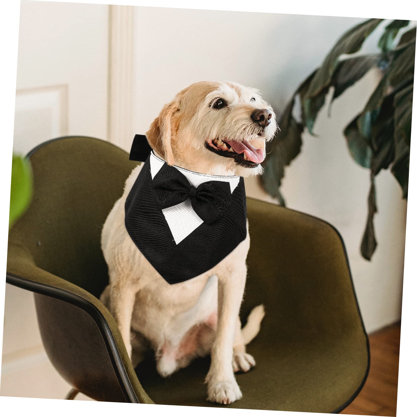 BESPORTBLE 5pièces Collier Bandana pour Chien avec Nœud Costume Élégant pour Fête Anniversaire Mariage Et Événements Spéciaux Noir