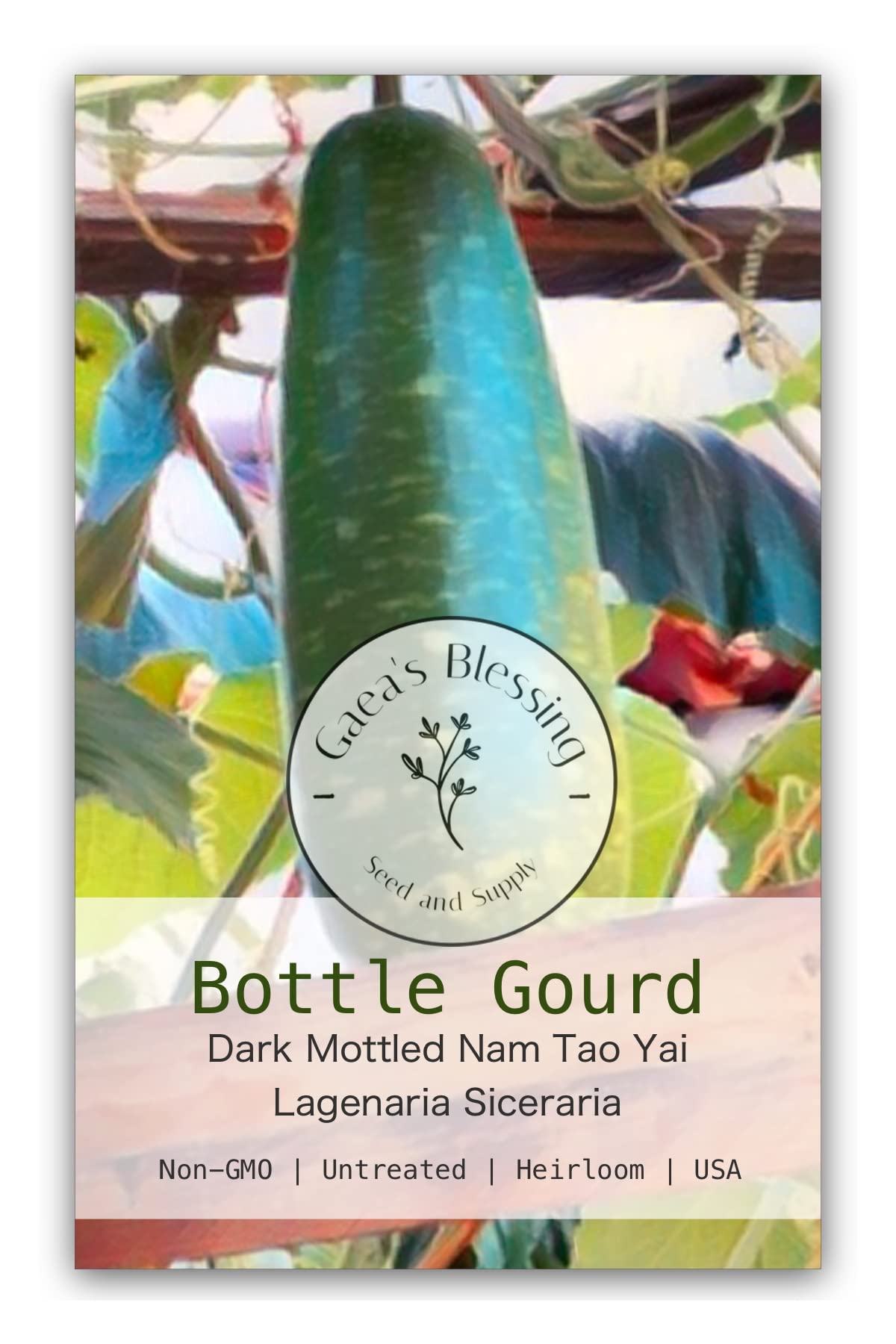 Gaea's Blessing Seeds - Bottle Gourd Seeds - Heirloom Non-GMO Seeds with Easy to Follow Planting Instructions (Dark Mottled (NAM Tao Yai))