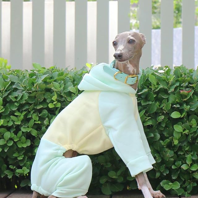 Foto 2 de 6 de IUOUTG Supuestador De Galgo Italiano, Sudadera para Perros De Whippet Whippet De Whippet