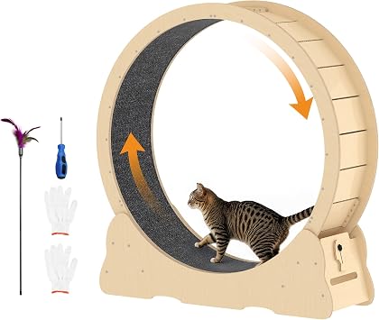 Cat Exercise Wheel Indoor, Quiet Medium Cat Treadmill with Detachable Carpeted Runway & Lock, 38.2 Exercise Running Wheel for Pets Health and Entertainment, Natural, M