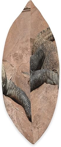 Miniatura 2 de Komodo Dragon Merch Komodo Dragon - Almohada de 18 x 18 pulgadas multicolor