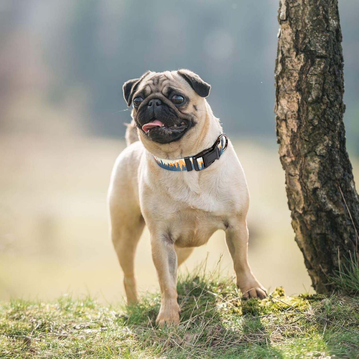 Timos Dog Collar for Small Medium Large Dogs,Adjustable Soft Puppy Collars with Quick Release Buckle,Sunset Valley,M Length 13.39''-20.87'' : Pet Supplies