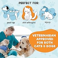 Vista 4 de BENCMATE Collar inflable protector para perros y gatos, collar suave de recuperación de mascotas que no bloquea la visión E-Collar (M, sandía)