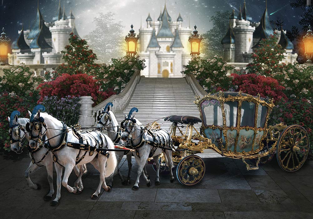 7x5FT Princess carriage Blue castle Garden flower background Computer print girls kids birthday party backdrop
