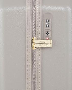 DKNY Unisex-Adult Metal Logo, Clay, 21 Carry On