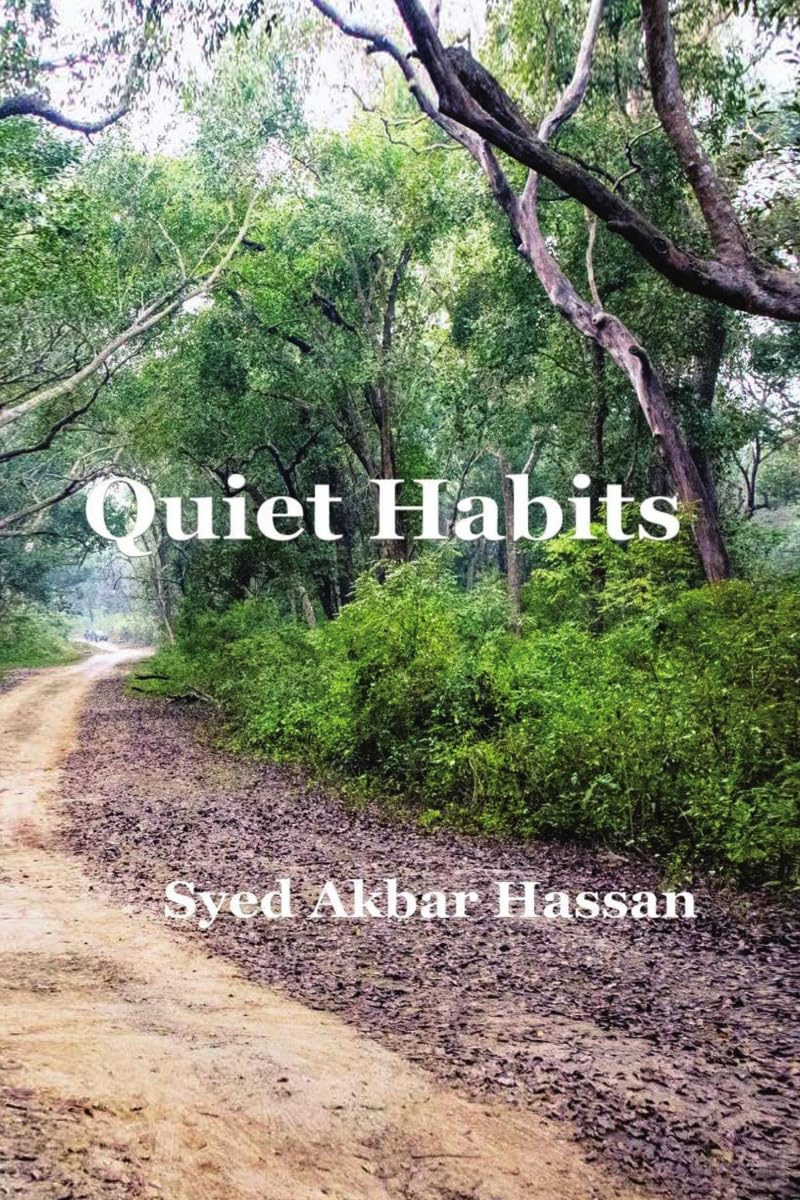Quiet Habits: Stories of Ordinary Lives and Silent Transformations