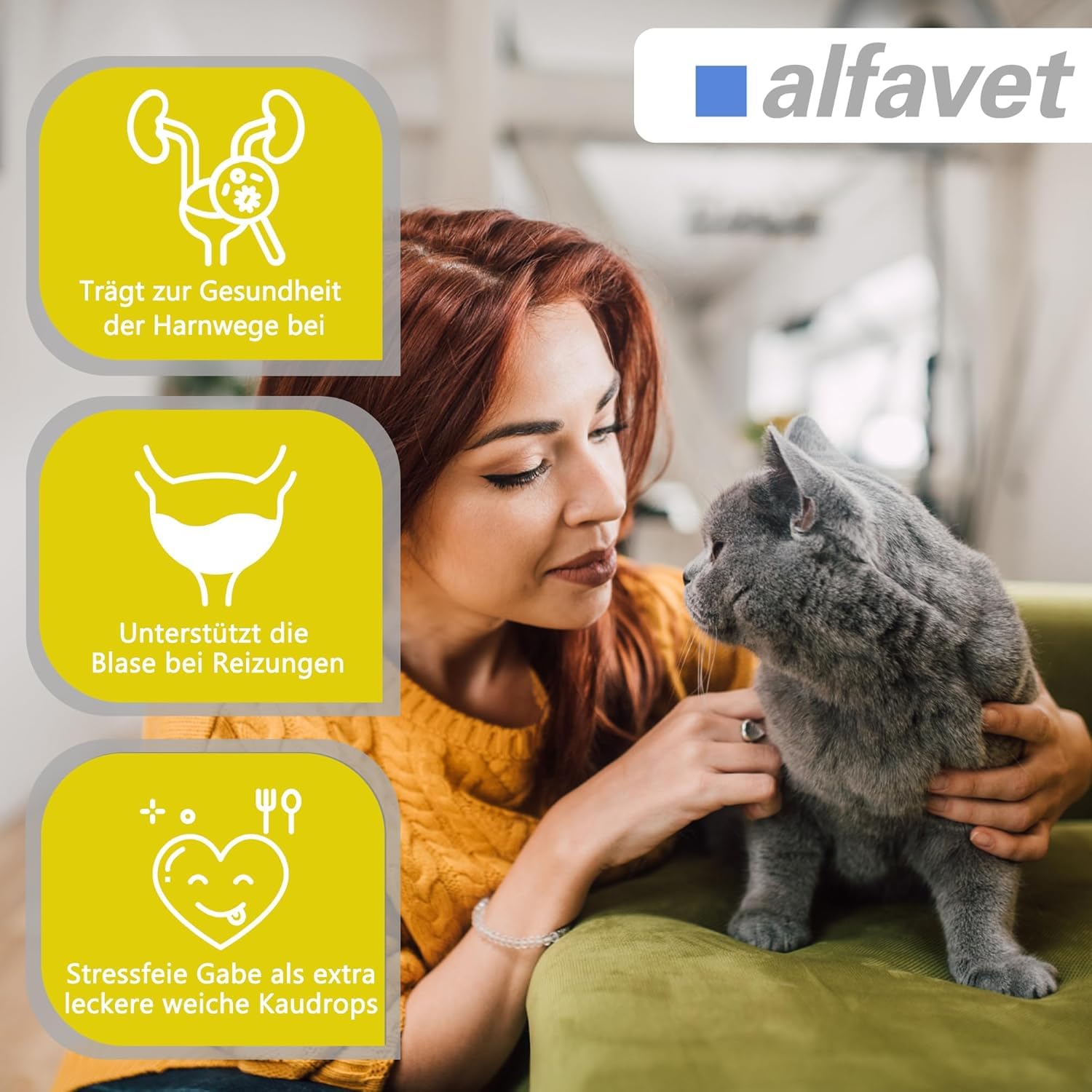 Alfavet FeliGum Struvit 3x160g Hund Katze unterst. Auflösung von Struvitsteinen