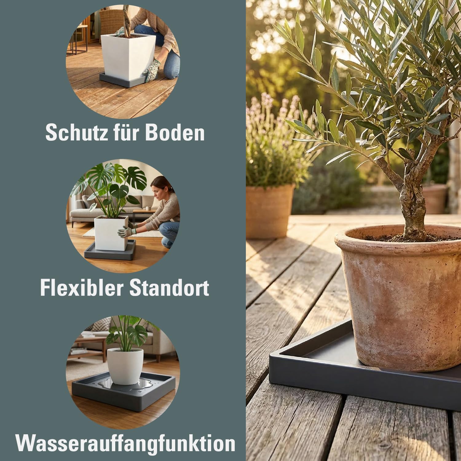 Prosperplast Mobile Saucer - Support de Pot de Fleurs carré - avec roulettes - Rotatif à 360 ° - Carré