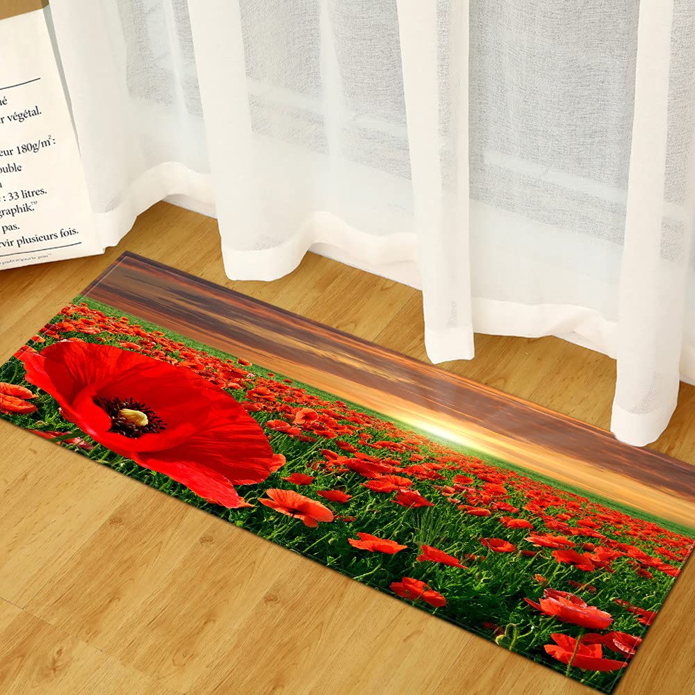 Morbuy Paillasson Bienvenue Tapis D'Entrée Plantes Et Fleurs