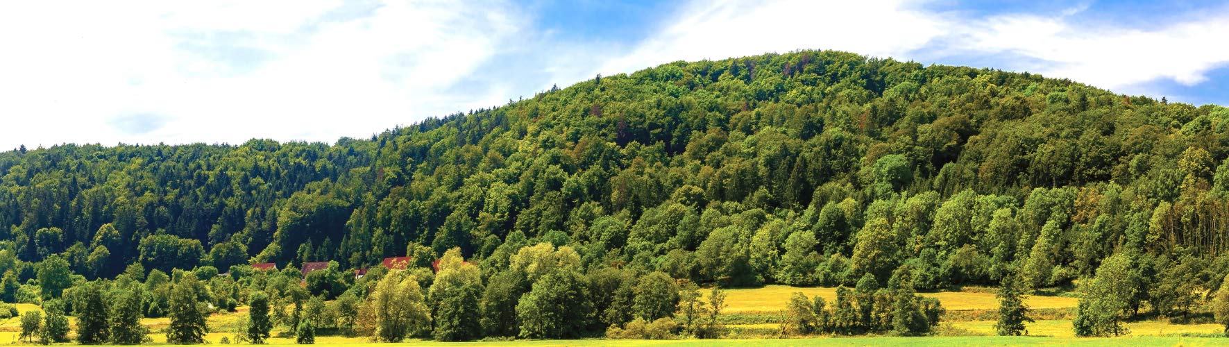 Modellbahn-Hintergrund "Fränkische Schweiz" auf Papier oder hochwertiger farbbrillanter Polyester-Folie (in vielen Größen) (3,33x0,40 m, Polyester)
