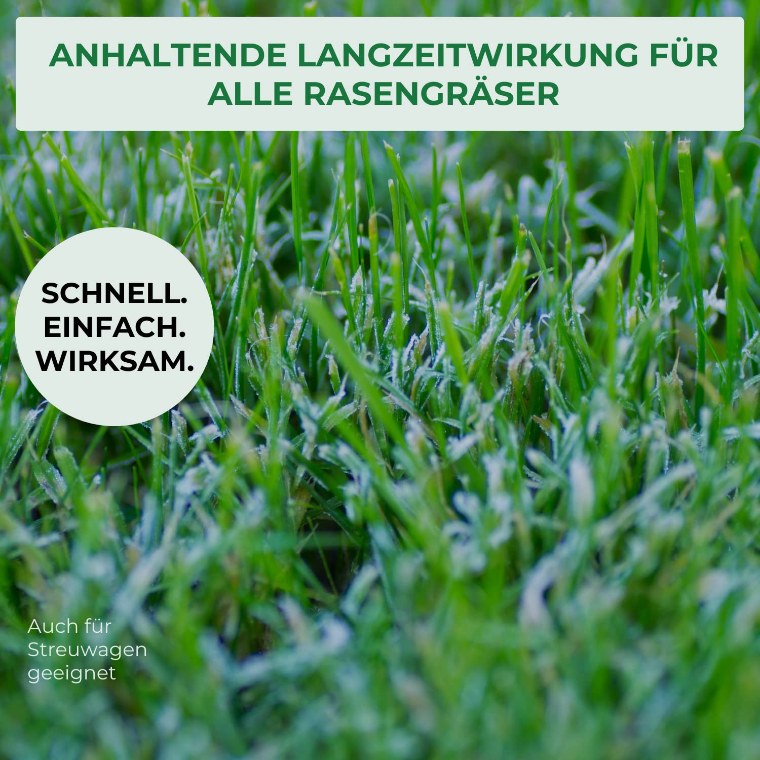 Allflor Herbst-Rasendünger 6x 10kg Beutel I Zur Stärkung der Gräser I Optimale Nährstoffzufuhr I Macht den Rasen winterfest I füllt Kalidepot auf I Ideal für Spätsommer & Herbst