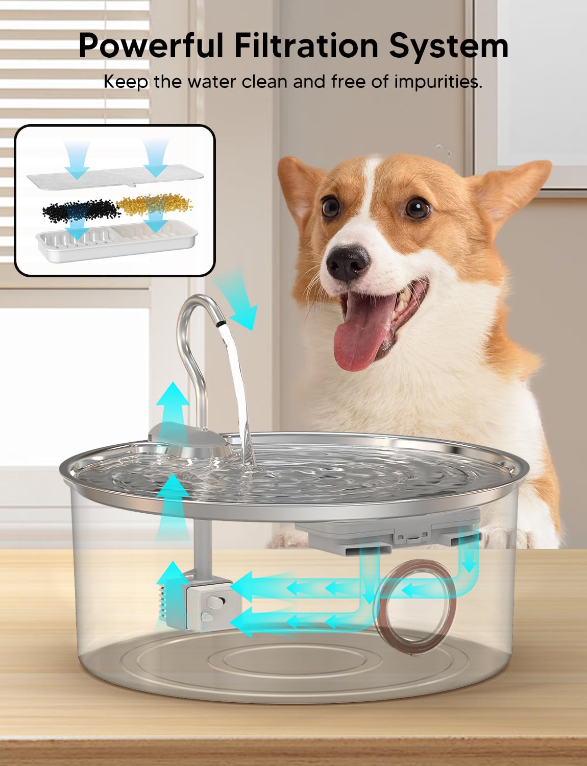 Dog Water Fountain for Large Dogs- 270oz/8L Stainless Steel Dog Water Bowl Dispenser Automatic Pet Water Fountain with Ultra-Quiet Pump/Quadruple Filtration for Dogs, Cats, Multiple Pets - image 3