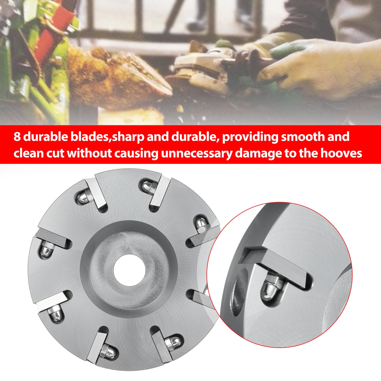 Disco de Recorte de Pezuñas para Ganado, Herramienta Cuchillo Eléctrico Metal Resistente con 8 Cuchillas para Amoladora Angular el Cuidado las Pezuñas Ganado Equino