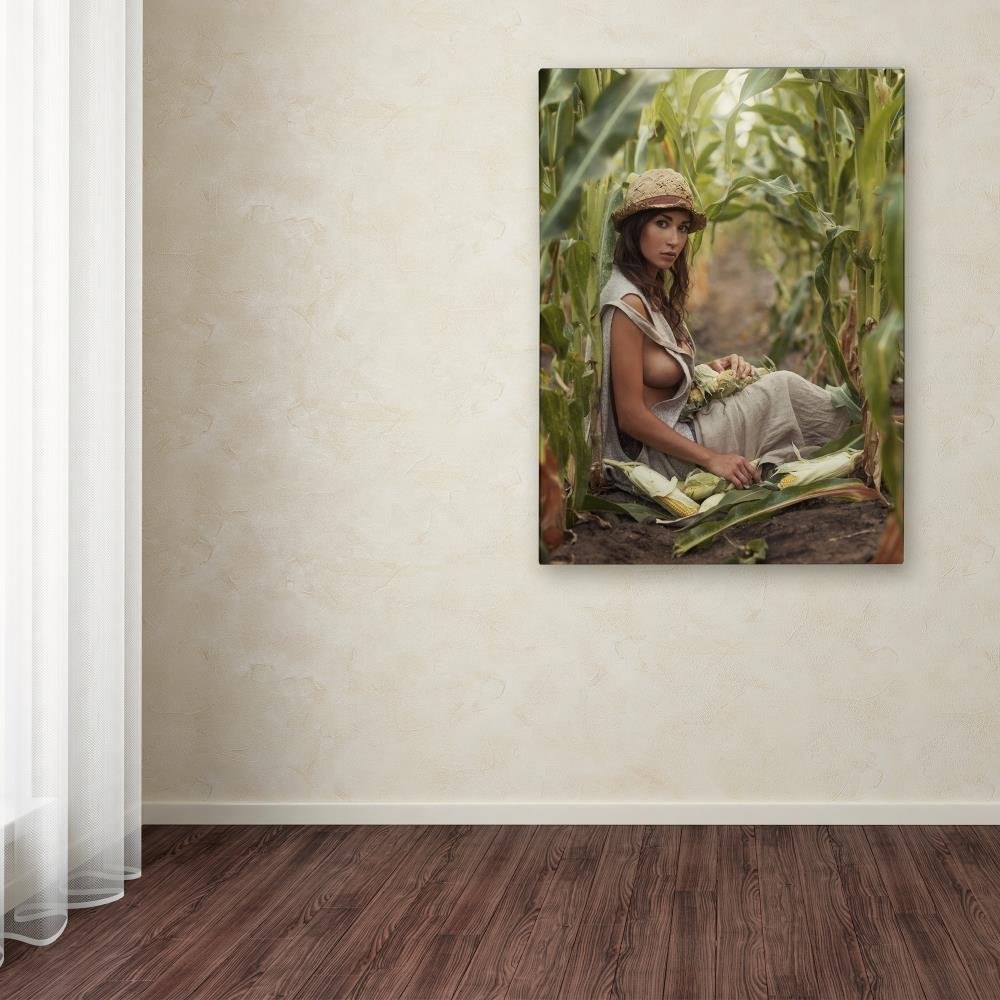 Farmer by David Dubnitskiy, 24x32-Inch Canvas Wall Art : Buy