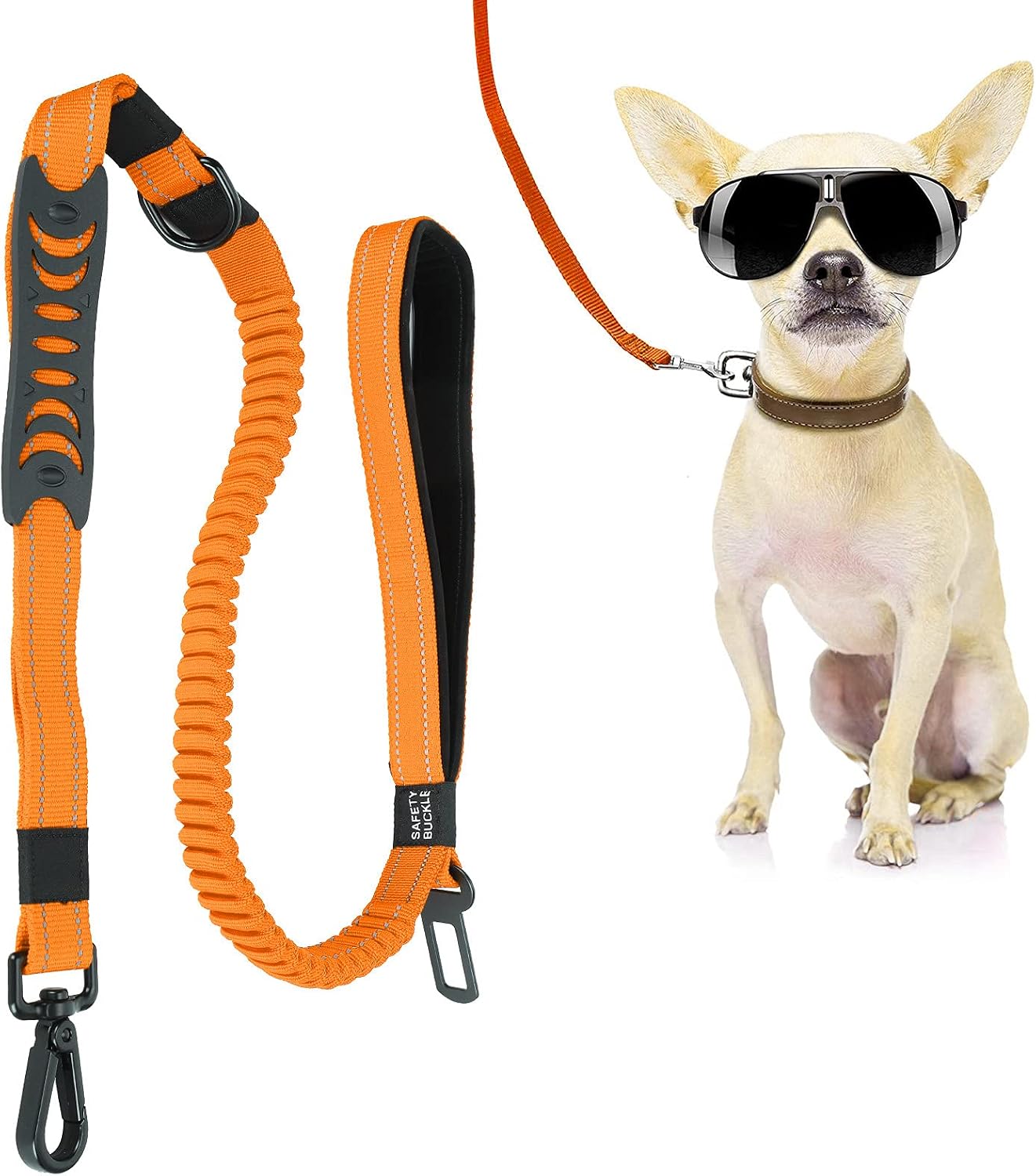 Promener Des Chiens Pour Gagner De L argent