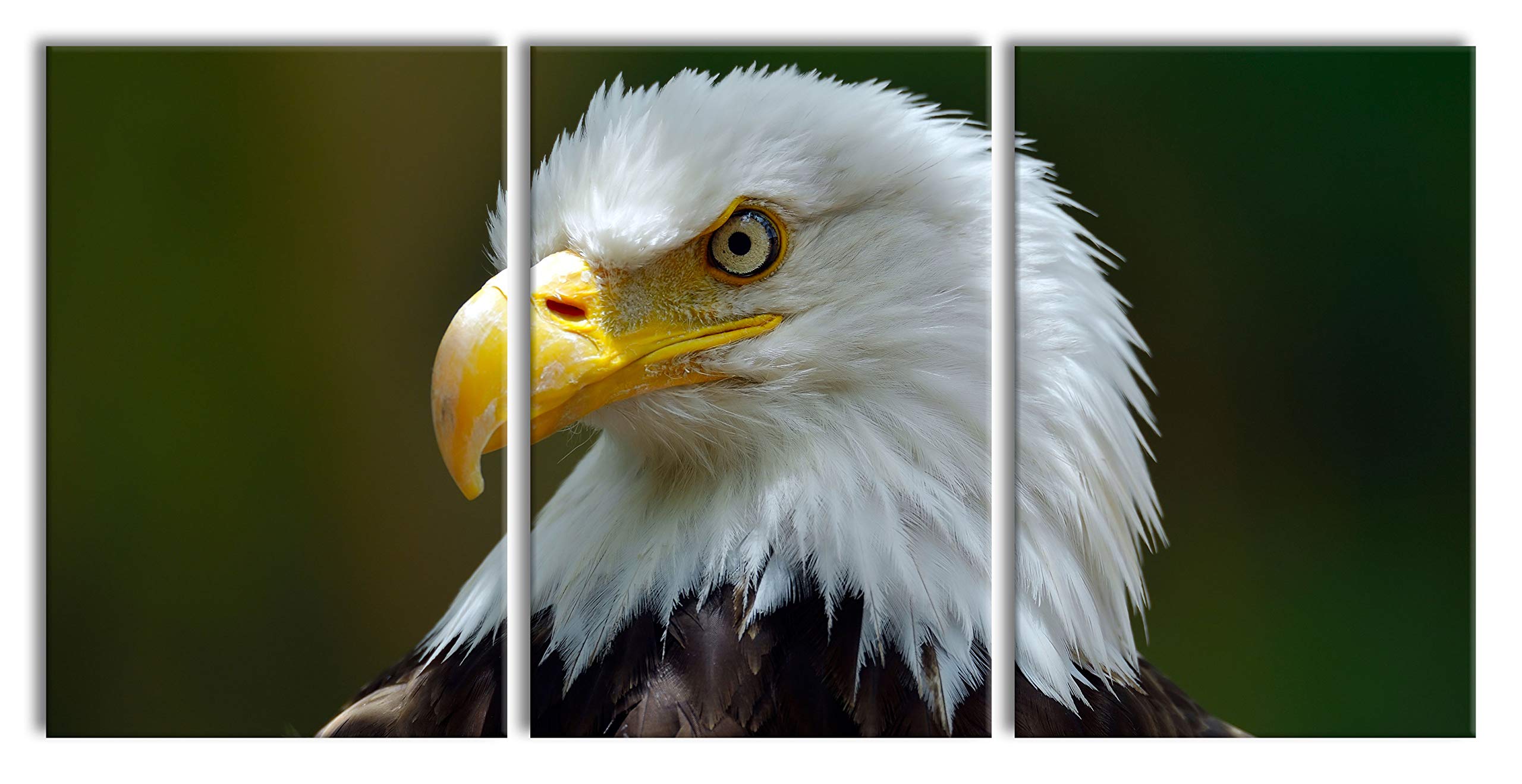 Pixxprint Mighty bald eagle, XXL canvas painting in oversize 240x120cm total 3 pieces, mural, art print