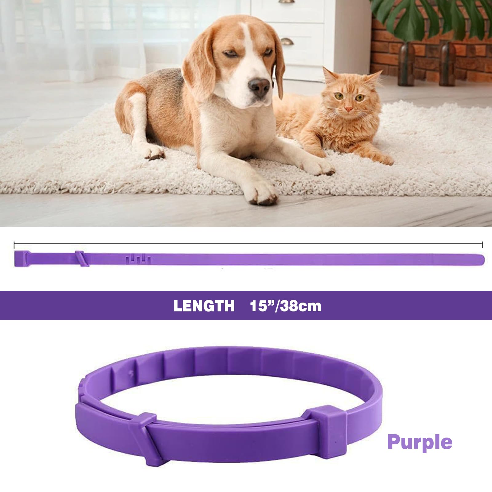 Curated visual reference: Gallery Detail: Snapklik Com Cat Calming Collar For Cats Sentry Calming Collar