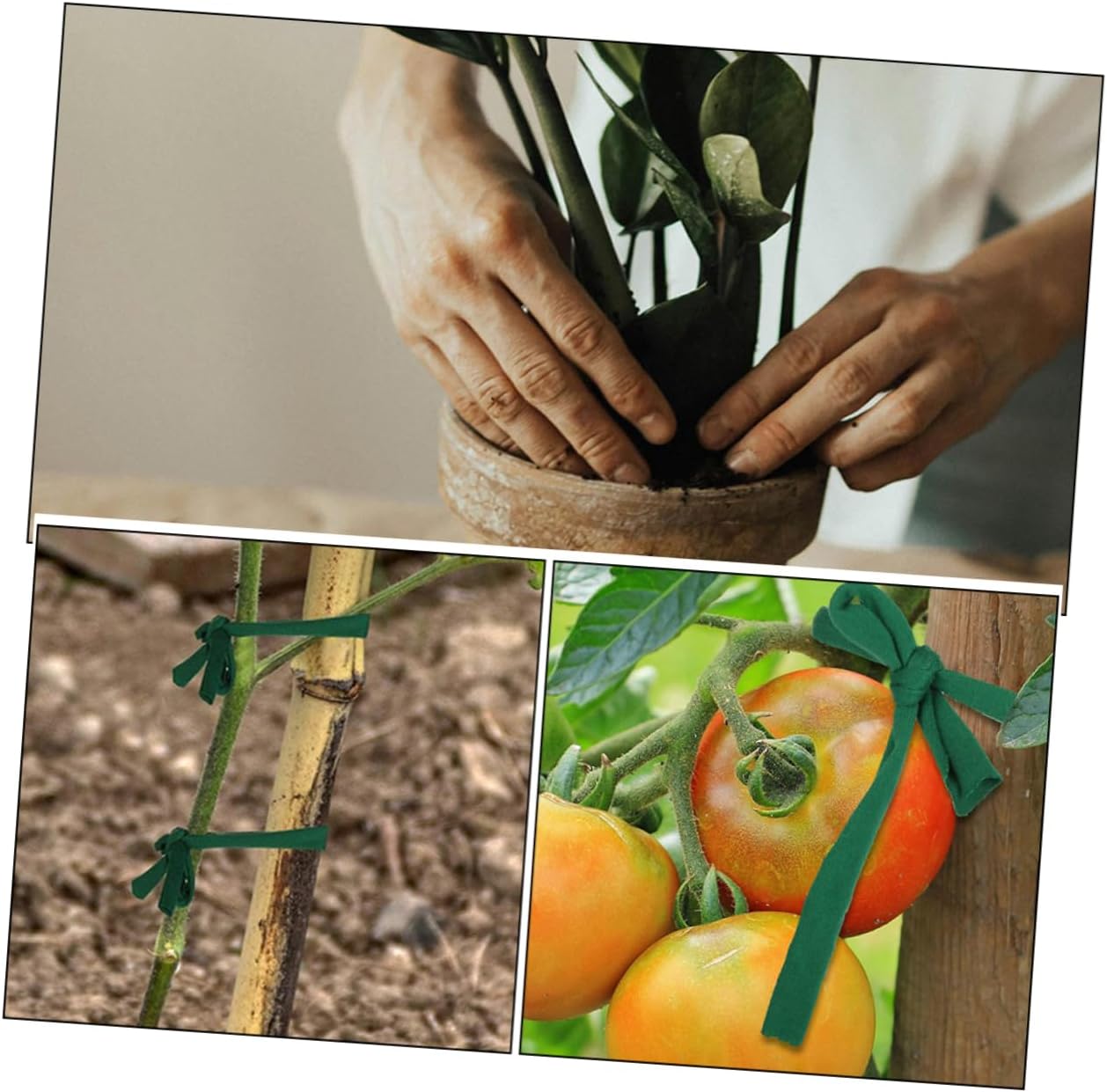 balacoo 6rolls Support Straps Strong Tree Ties for Wind Plant Support Straps Saver Tie for Backyard