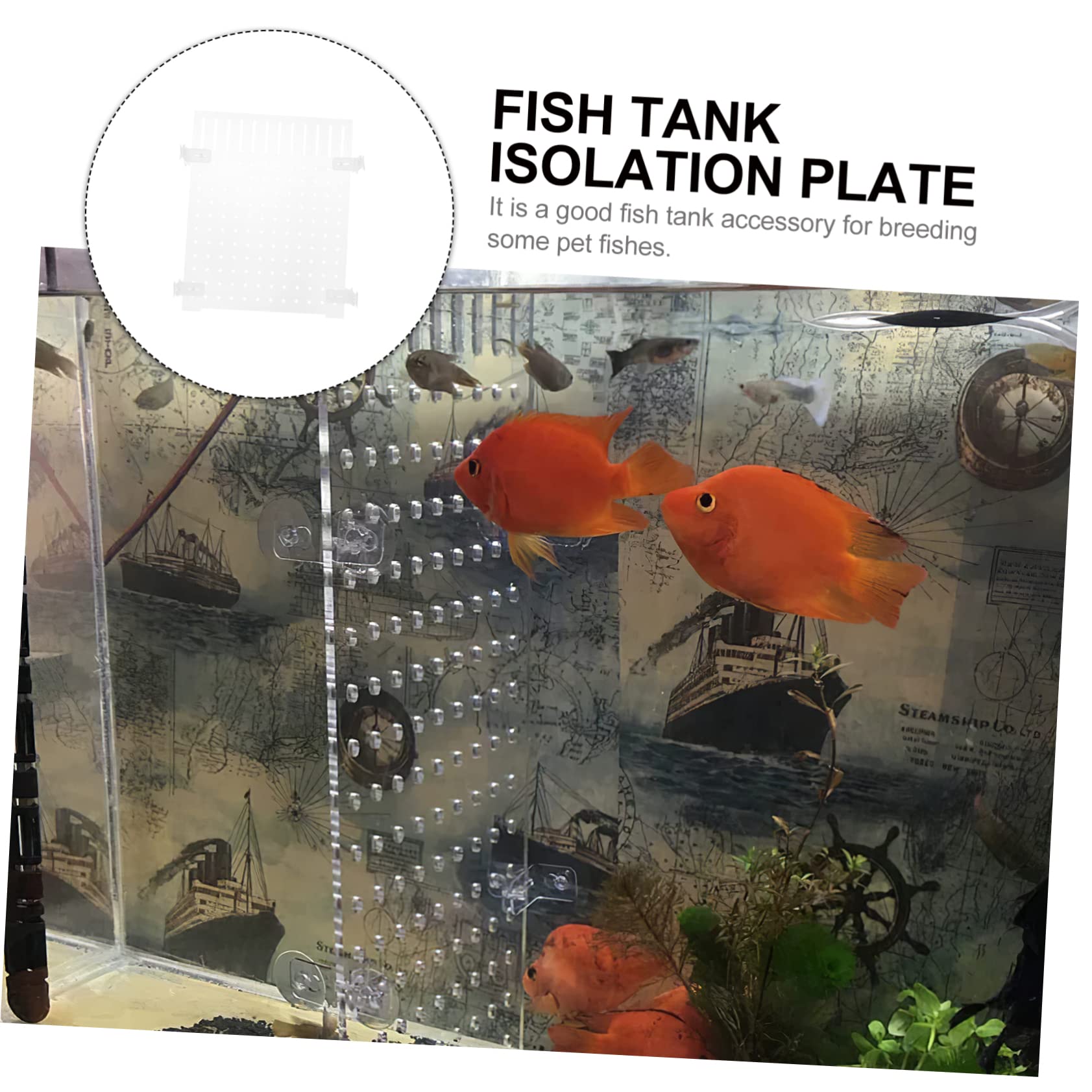 魚 タンク アイソレーション ポータブル プラスチック アクセサリー 水族館 魚 タンク アイソレーション ポータブル プラスチック