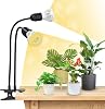 SANSI 300W LED Grow Lights for Indoor Plants with Lifetime Free E27 Grow Bulb Replacement, 2-Head Full Spectrum Plant Grow Lamp with Optical Lens for Seedlings Plant Growing - Black