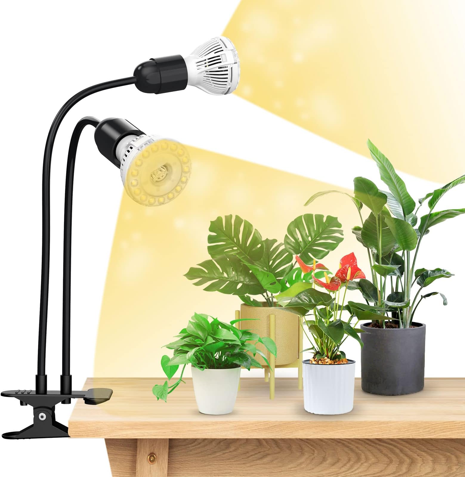 SANSI 300W LED Grow Lights for Indoor Plants with Lifetime Free E27 Grow Bulb Replacement, 2-Head Full Spectrum Plant Grow Lamp with Optical Lens for Seedlings Plant Growing - Black