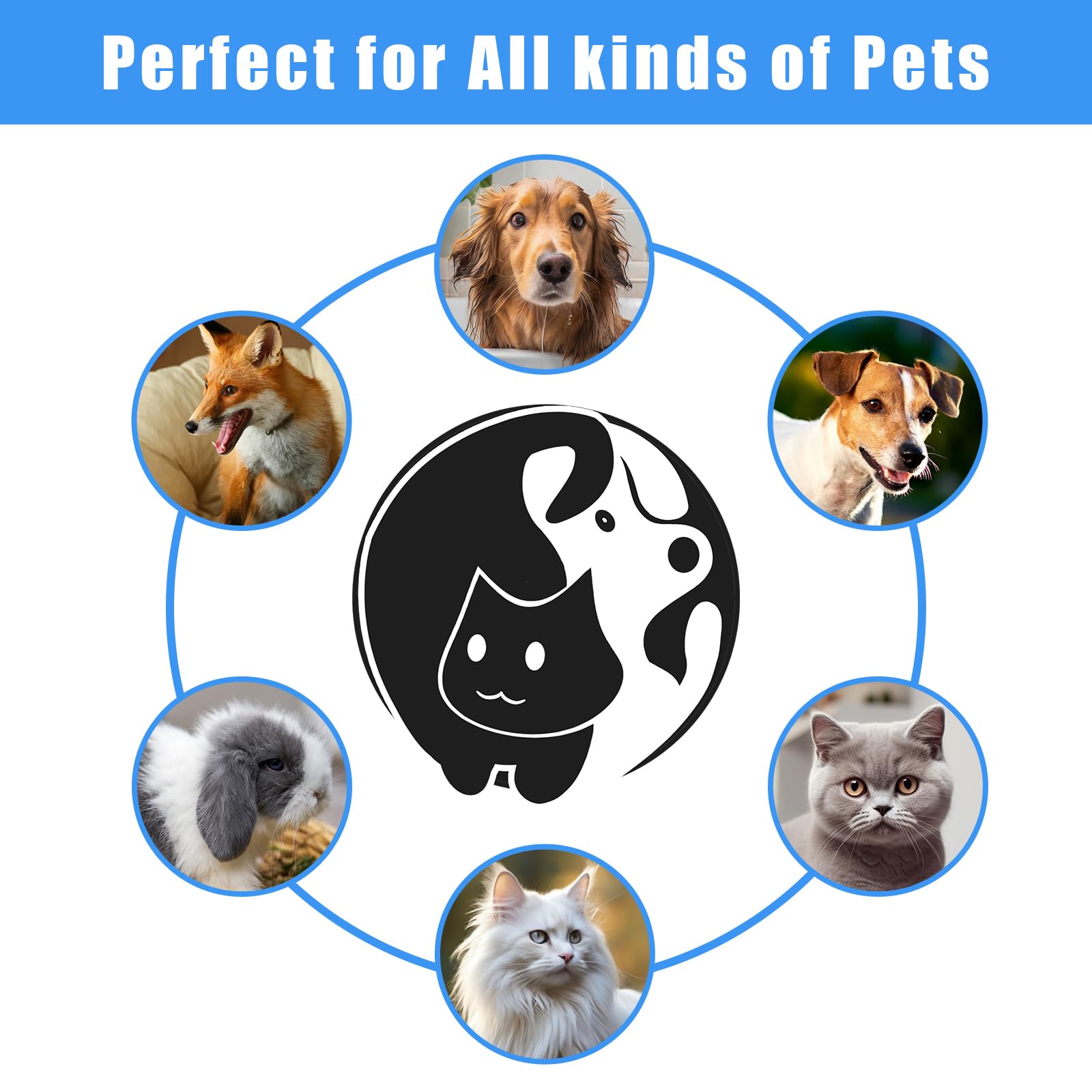 El mejor kit de cepillo de aseo para perros