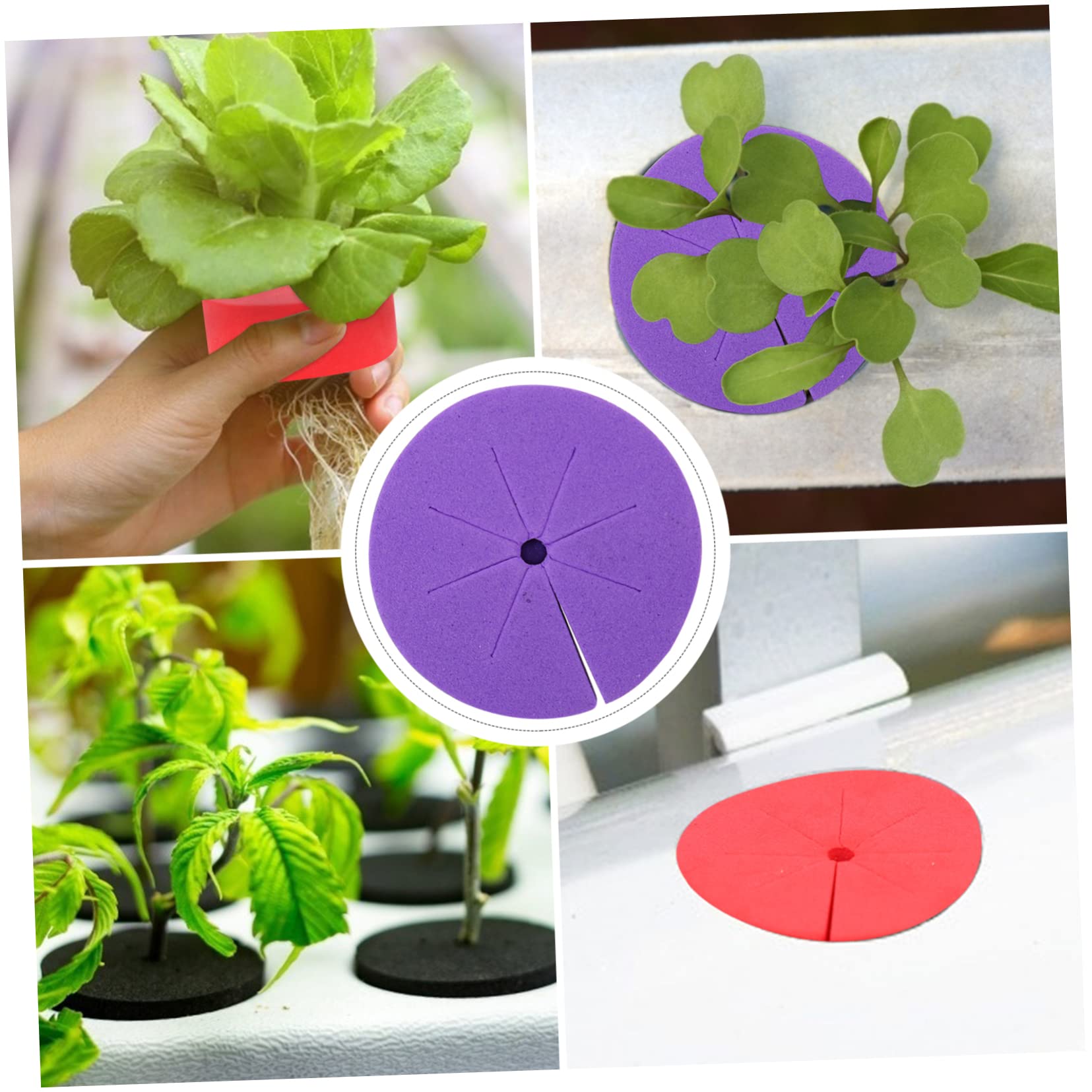 Esponja Hidropónica Eva para Cultivo de Hortalizas 50piezas | Bloques Nutritivos, Apta Mayoría de Semillas, Uso en Base de Plantación y Jardinería de Vegetales Color Aleatorio