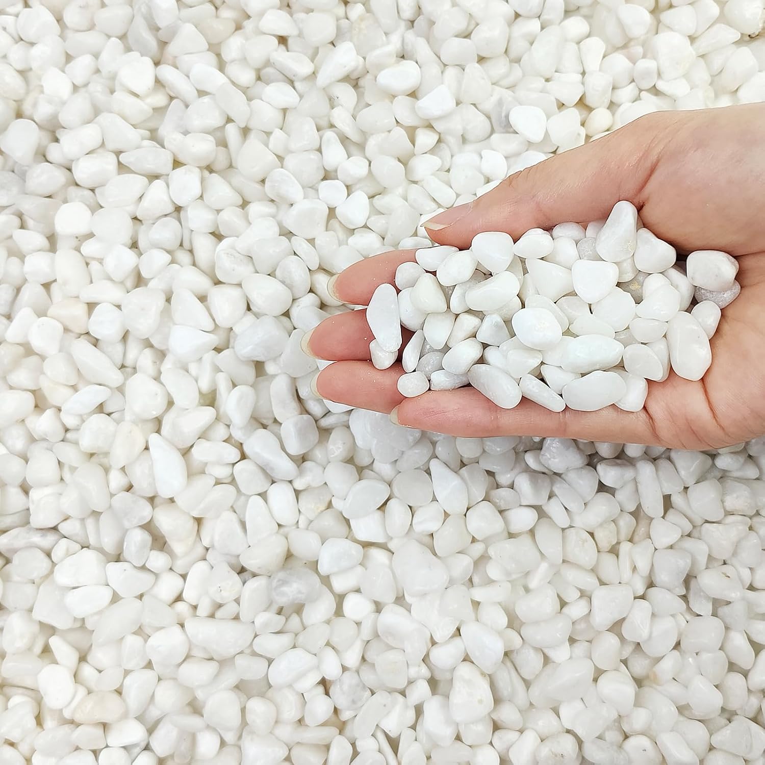 FANTIAN 10 lbs White Pebbles for Indoor Plants, 3/8 Inch Decorative White Stones. Polished River Rocks for Potted Plants Vase Cactus Bird Bath and Outdoor Garden Landscaping