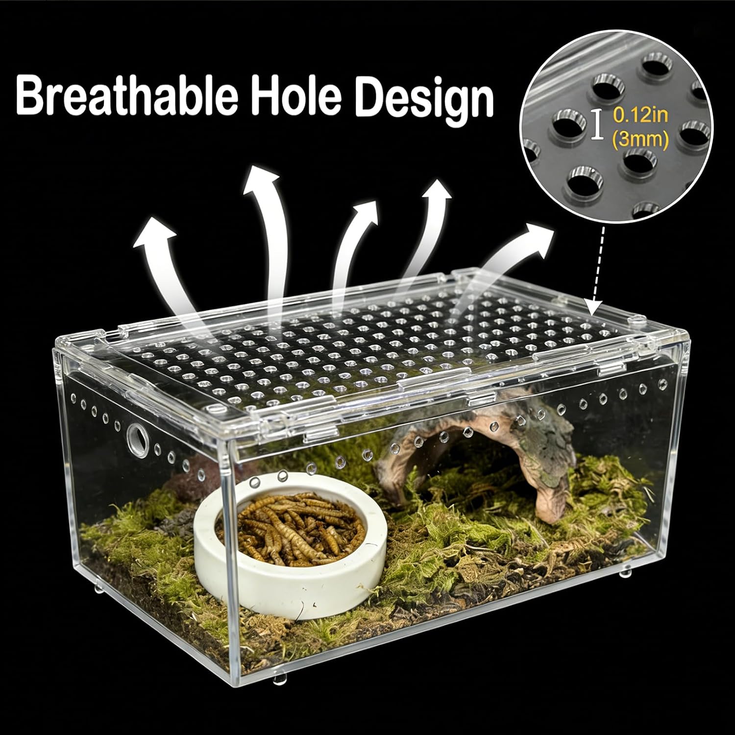 Reptile Terrarium Kit Small Gecko Tank Tarantula Isopods Insect Enclosure | Hermit Crab Tank,Acrylic,Box Packaging,with Moss Bottle Stands Tweezer Thermometer Hideout Food Bowl,for Frog Scorpion