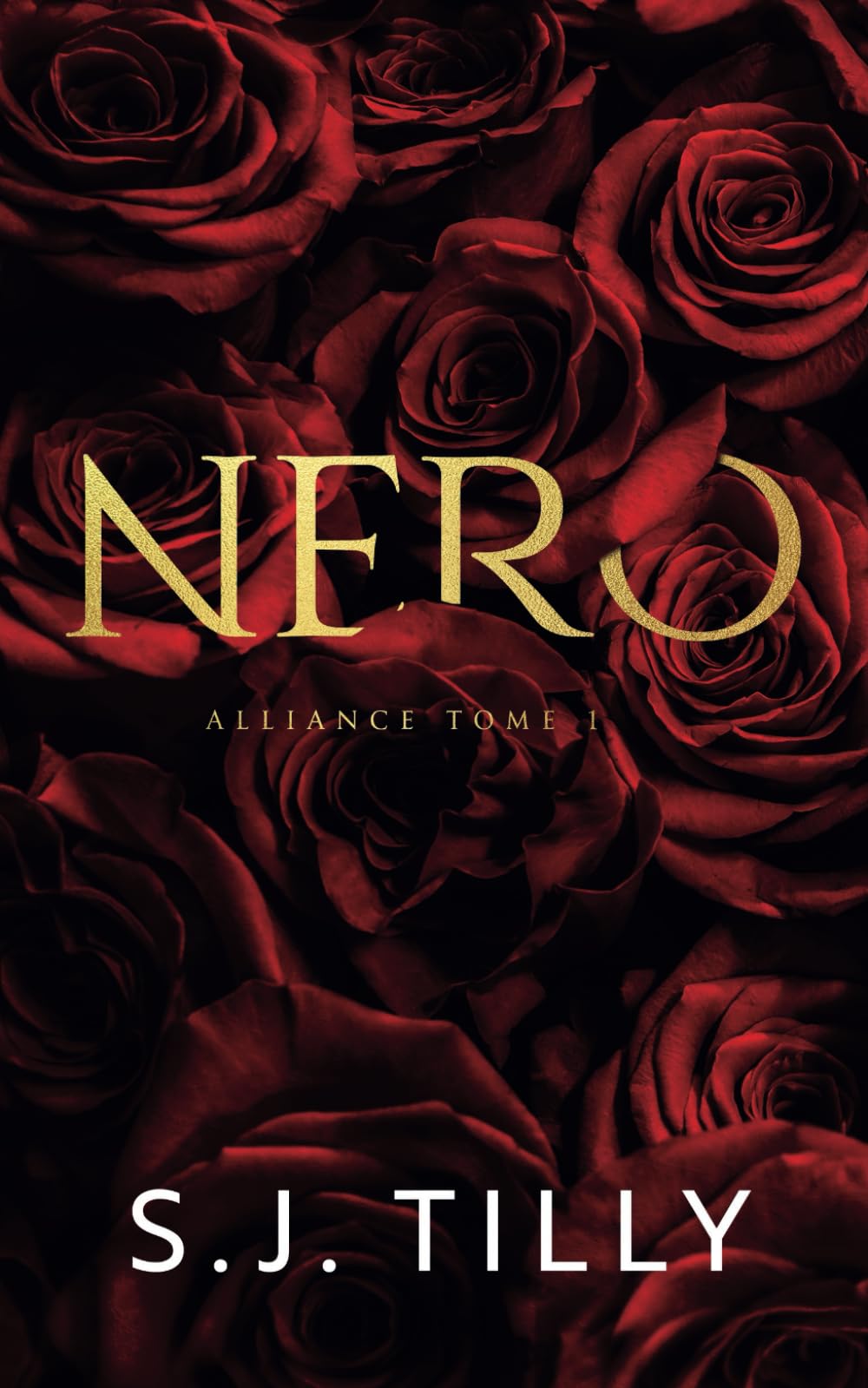 Nero: Une dark romance mafieuse (Alliance)