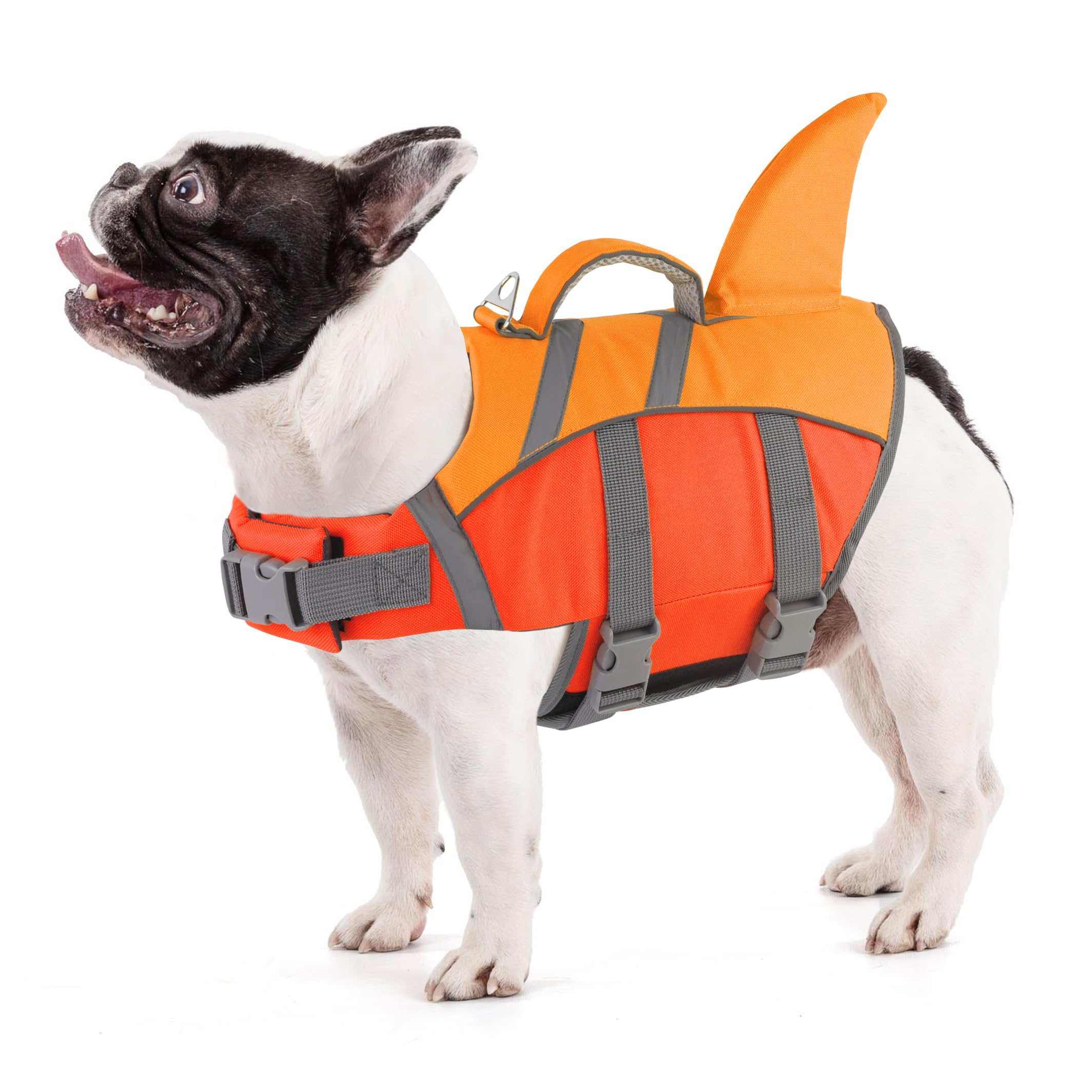 Doglay - Gilet de sauvetage pour chien requin, flottabilité supérieure avec poignée de sauvetage et bandes réfléchissantes et aileron de requin, gilet de natation pour petits chiens