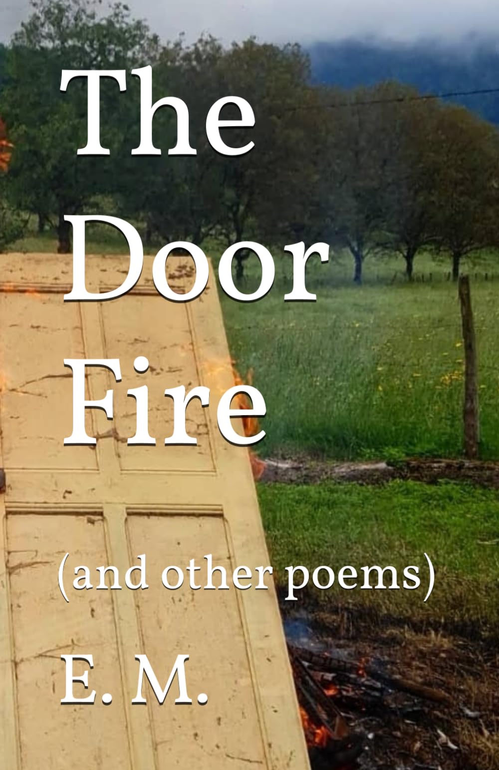 The Door Fire: (and other poems)