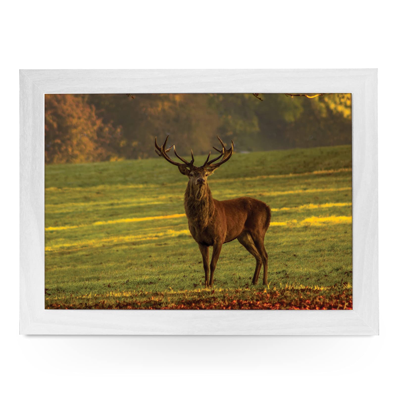 Portable Lap Desk Tray (Stag In A Field) Handmade Wooden Frame, Beanbag Cushioned Bottom | Computers, Laptops, Meals, Food | L846 White