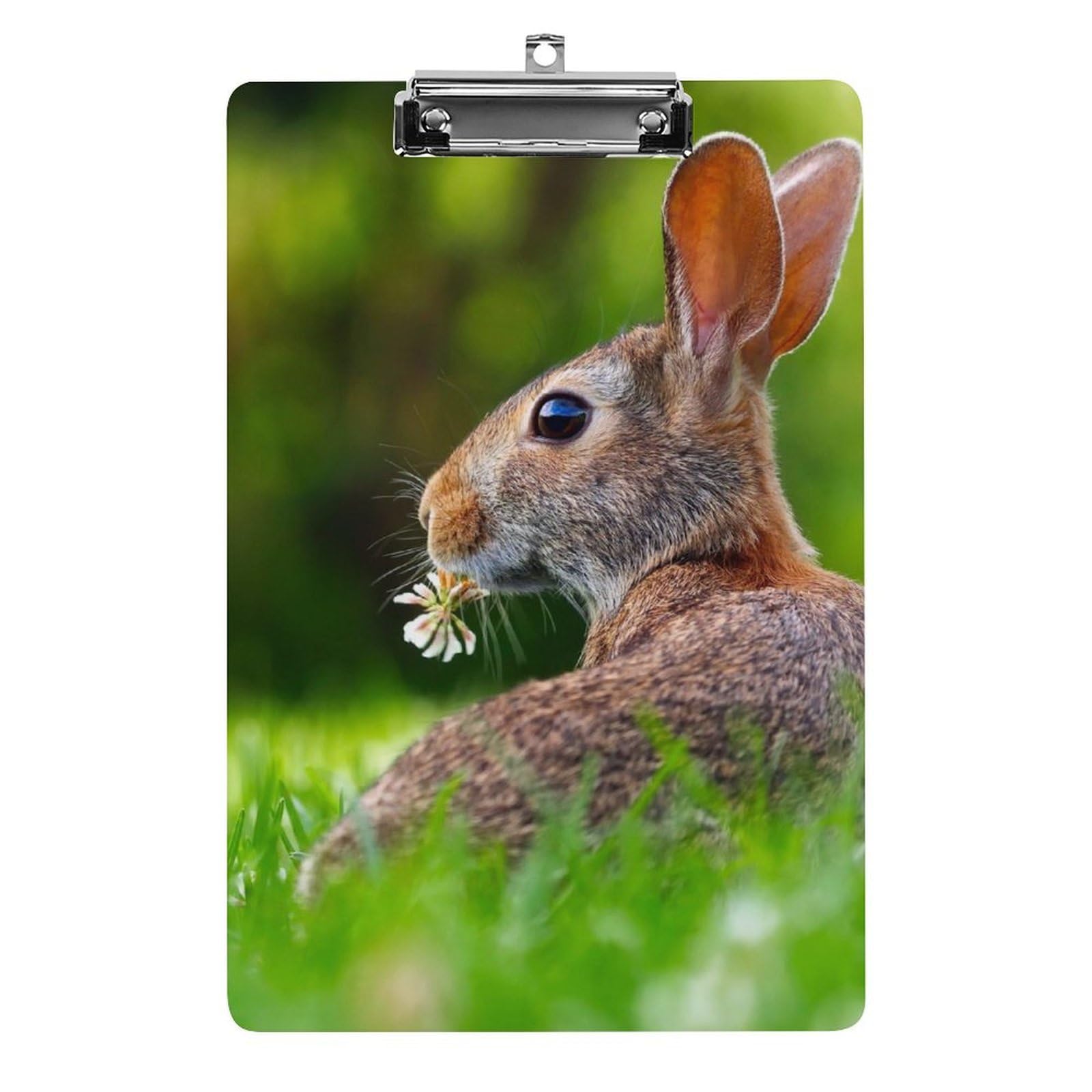 Lapin clipboard pour papier documents rigide format A4 porte-formulaires de bureau - 8