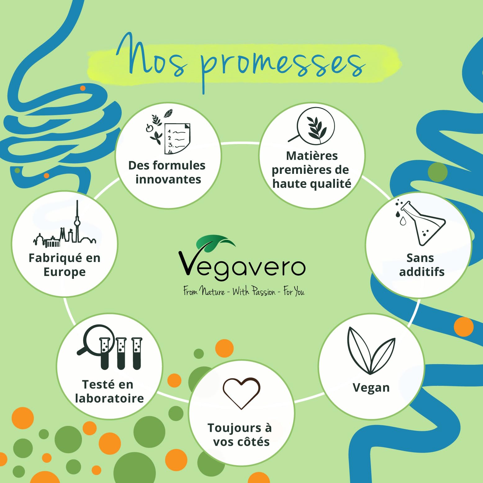 Gut Routine | Formule Tout en Un : 7g de Fibres, Probiotiques, L-Glutamine | Digestion & Microbiote Intestinal | Vegan & Sans Gluten | Goût Fraise | Vegavero®