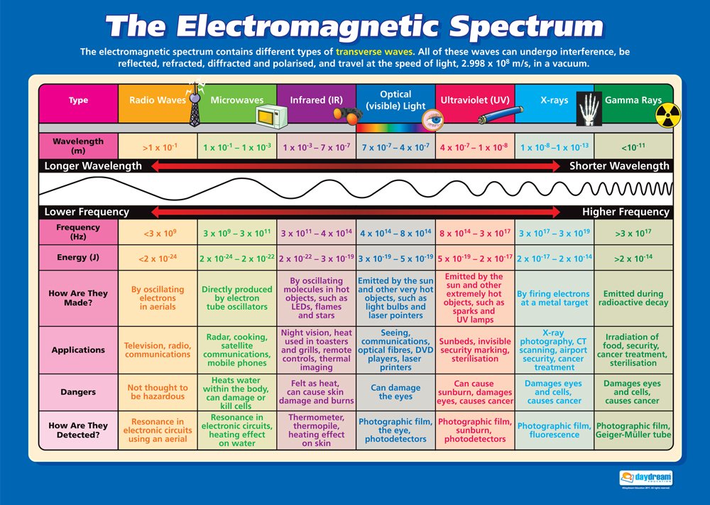 The Heart And Circulation | Science Posters | Glossy Paper Of 850mm X 594mm (A1) | Science Cards For The Classroom | Education Charts By Daydream Education