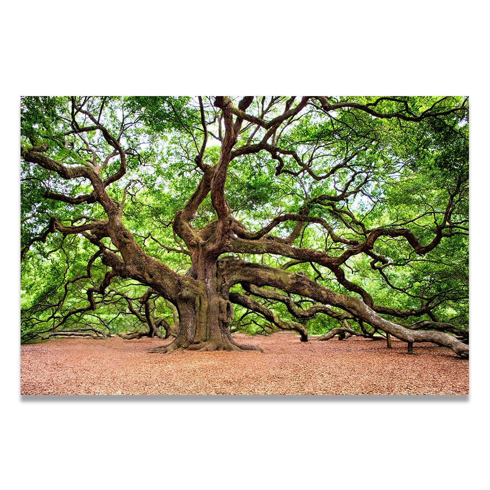 VHdfgTY Firm RootsMountain Landscape Canvas Wall Art Nature Scenery Wall Decor for Home 60x90cm Unframed