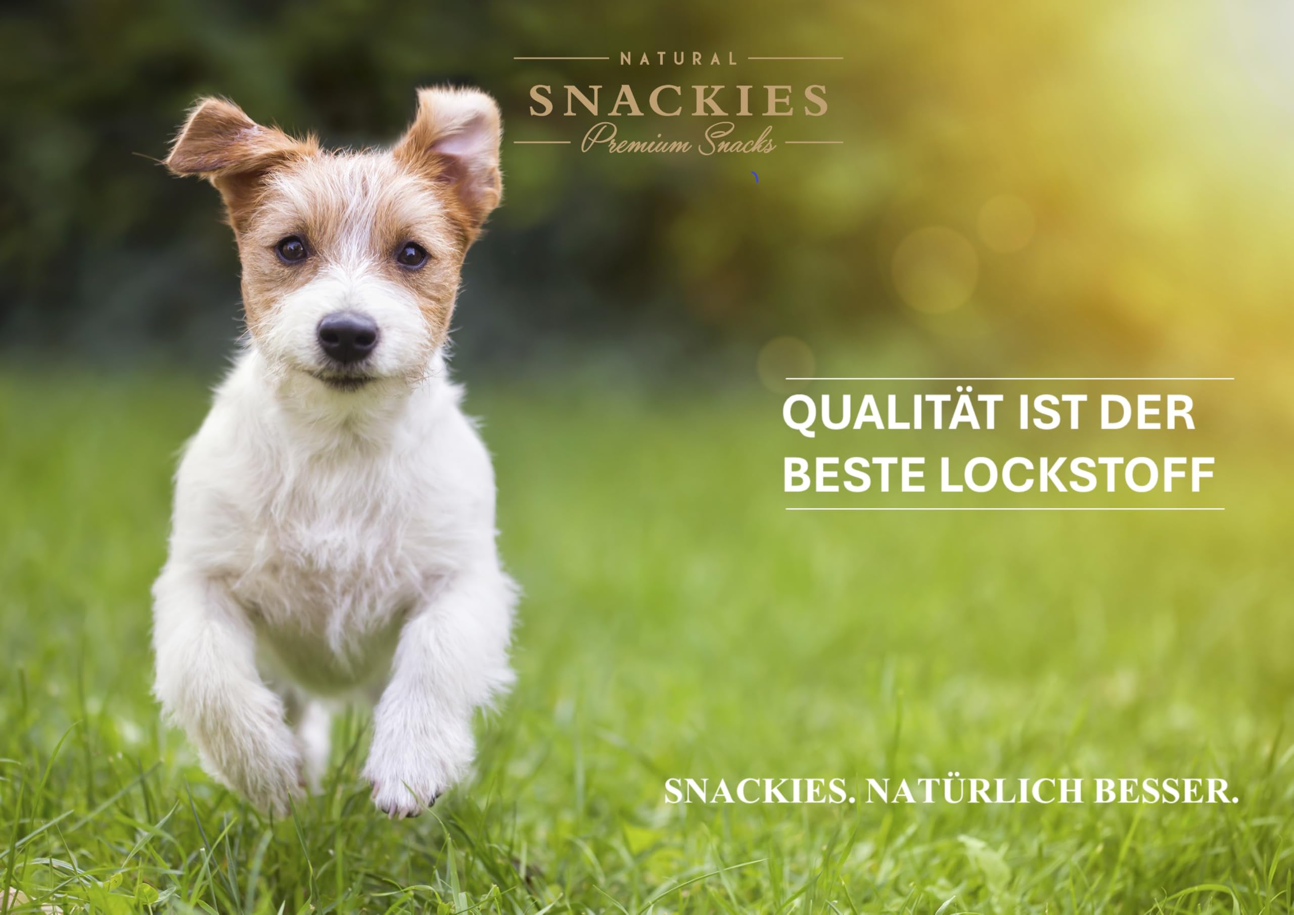 SNACKIES 16er-Pack (à 170g) Hundeleckerli Pferdefleischwürfel Premium Snacks für Hunde ohne Zusatz von Getreide, Zucker, Farb-, Aroma- und Konservierungsstoffe, luftgetrocknete Leckerli
