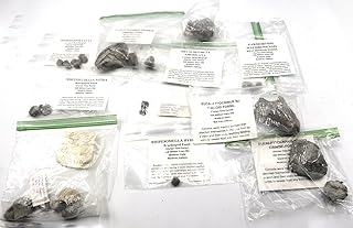 Fossils, Meteorites, & More Lot of Unprepared Silurian Brachiopods and Crinoids Indiana #18050