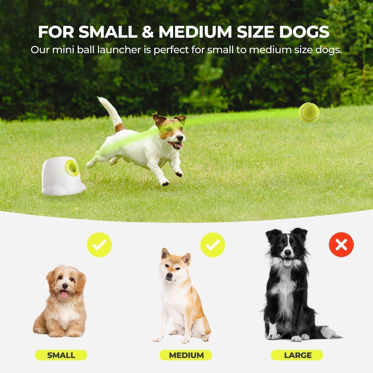 ALL FOR PAWS Hyperfetch Ottimo gioco di lancio per cani, lanciatore di palle da tennis interattivo, per addestramento di cani, 3 palline incluse (stile mini), con adattatore europeo…