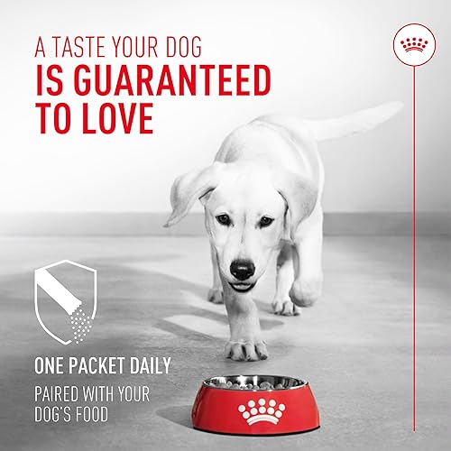 Miniatura 4 de Royal Canin Probióticos para perros Suplemento en polvo para la salud digestiva e inmunológica para perros de todas las edades, 30 unidades