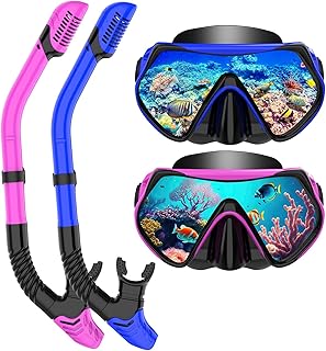 Snorkeling Gear for Adults, Dry-Top Snorkel Set Scuba Diving mask, 180°Panoramic Wide View Professional Snorkeling Gear Breathing Freely Snorkel Mask (Purple+Blue)