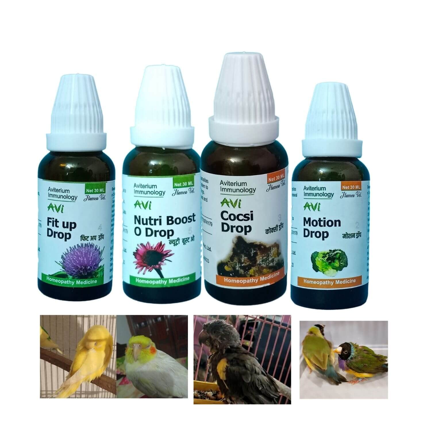 Aviterium Immunology Cocsi Drop Combo 4 Drop For Pet Birds,Parasites Disease,Diarrhea,Sukkha,Weight Loss,Keel Sharp Bone,Liver Problem,Seasonal Change For All Birds (B0BPPGHYGZ) Amazon Price History, Amazon Price Tracker