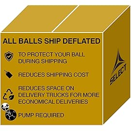 Select Numero 10 V22 Soccer Ball, All White, Size 4