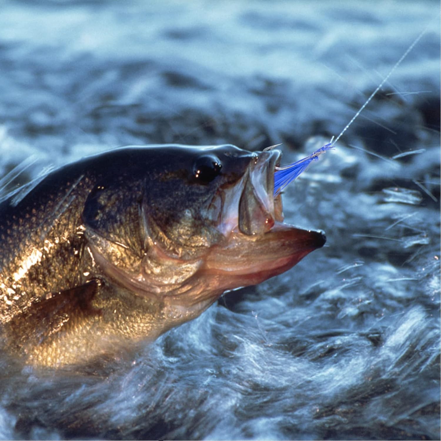 Fishing Bait Rigs 8 Pack/48 Hooks Mackerel Feather Rig Fishing Lures Saltwater Freshwater Multicolor Fishing Bait Rigs with String Hook Lure Tackle Jig : Sports & Outdoors