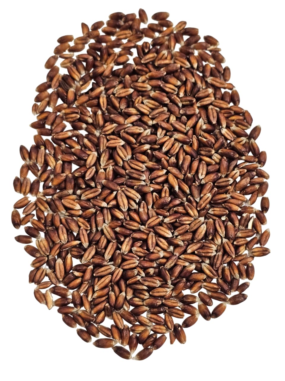 Bio Rotdinkel "Späths Albrubin" Dinkel 25 KG