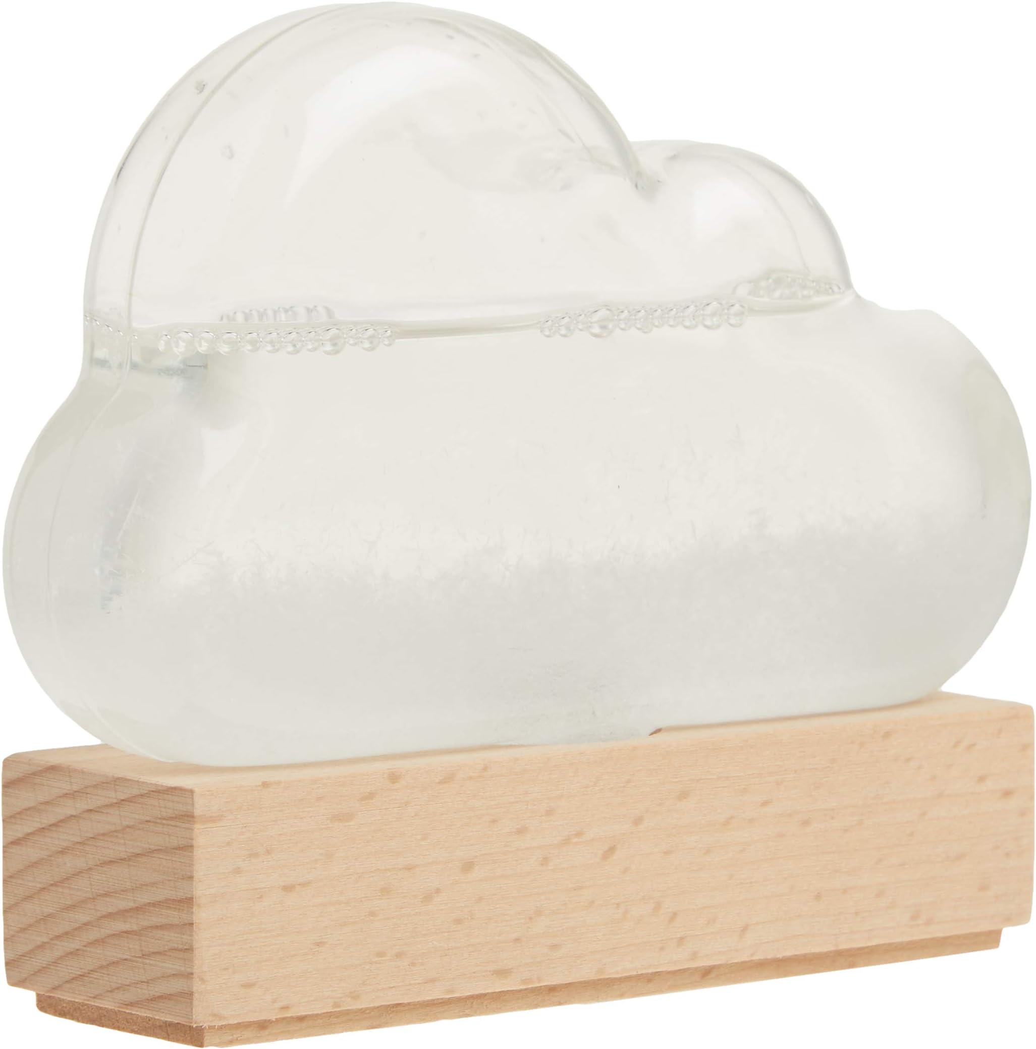 Chronicle Books Storm Cloud: A Weather Predicting Instrument