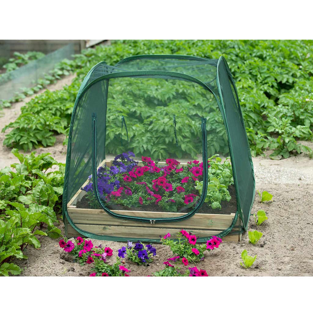 Nature Serre 100x100x100 cm 6020409 Intérieur Extérieur Abri Plante Légumes
